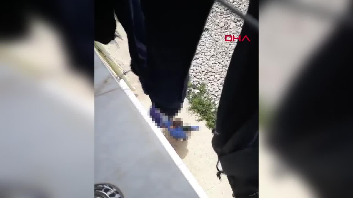 Çocuk istismarıyla suçlanan zihinsel engelli genç serbest bırakıldı