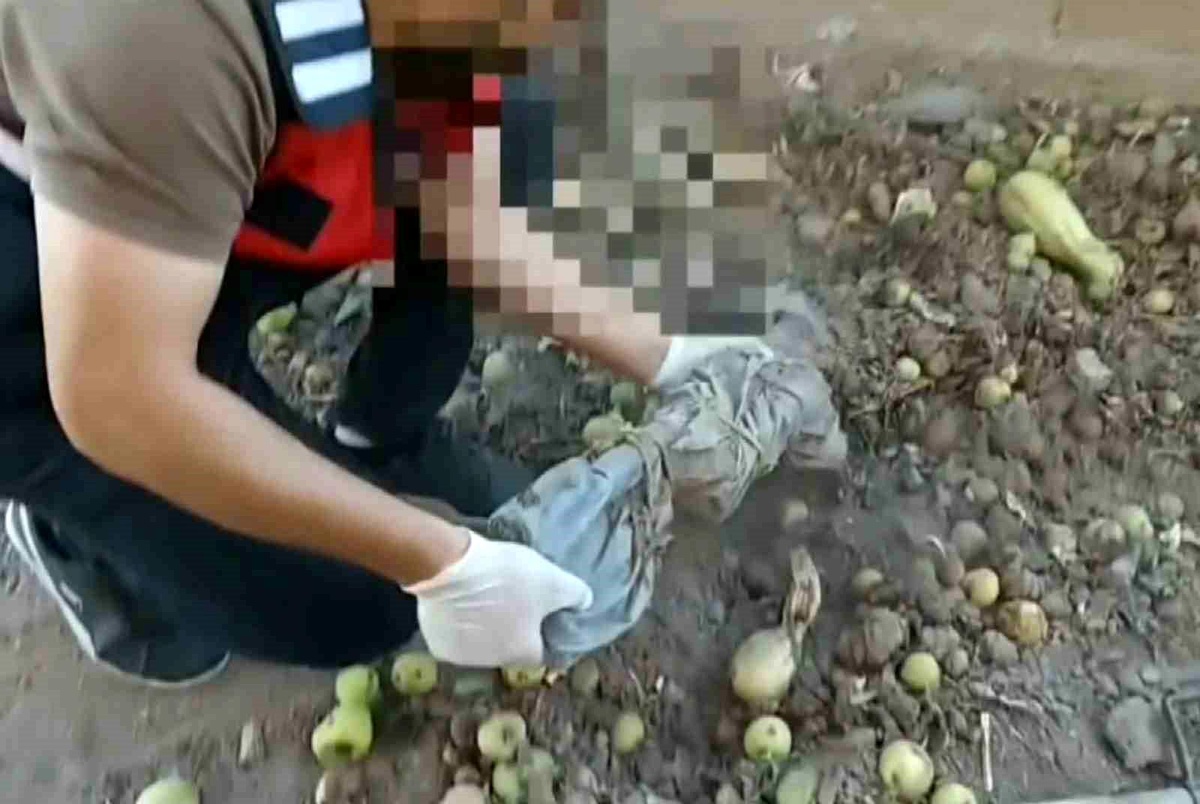 Aksaray\'da Uyuşturucu Tacirlerine Operasyon: Elma Ağacı Altından Tüfekler ve Uyuşturucular Ele Geçirildi