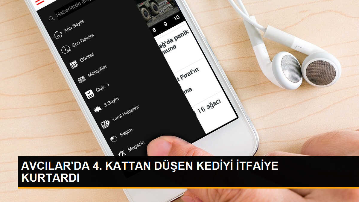 Avcılar\'da Mahsur Kalan Kedi İtfaiye Tarafından Kurtarıldı