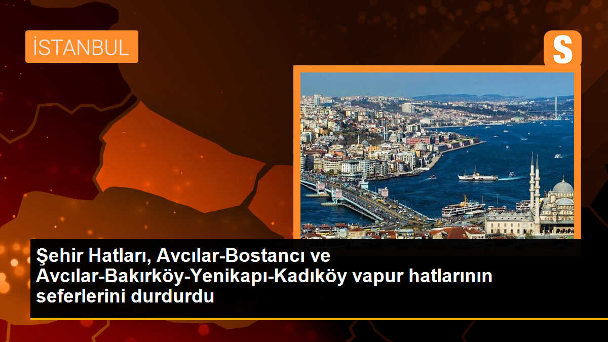 Şehir Hatları, Avcılar-Bostancı ve Avcılar-Bakırköy-Yenikapı-Kadıköy vapur hatlarının seferlerini durdurdu