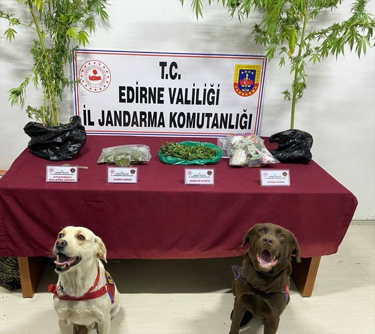 Edirne\'de 743 gram esrar ele geçirildi