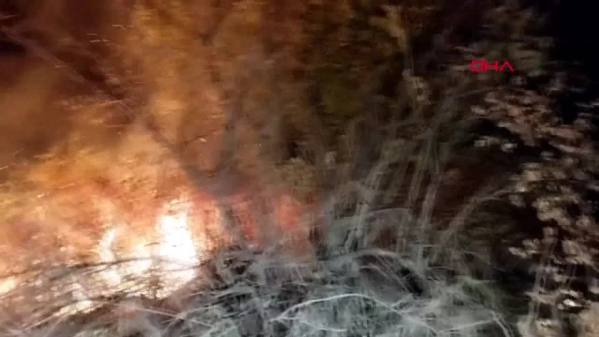 Edirne\'de yangın nedeniyle Bulgaristan\'dan gelen yük treni seferini durdurdu