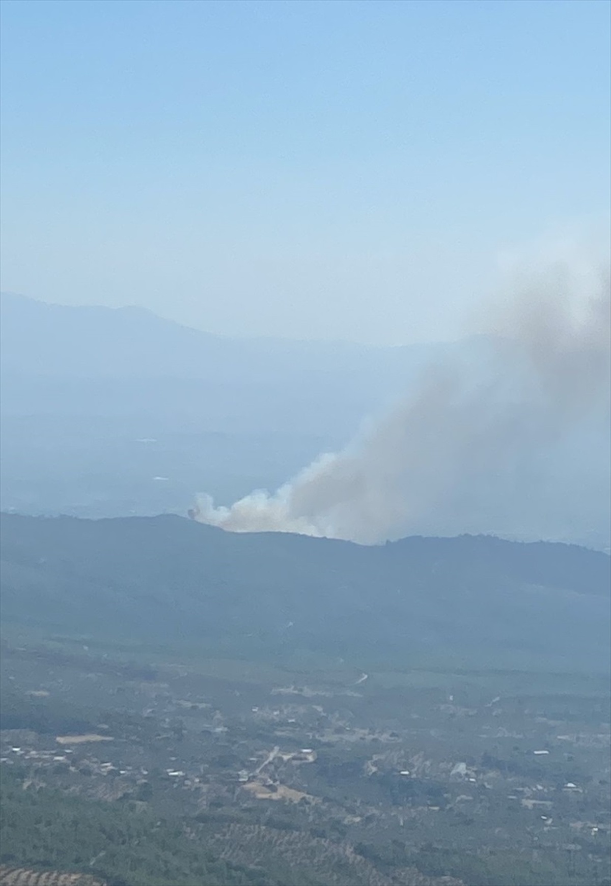 İzmir\'in Bayındır ilçesinde ormanlık alanda çıkan yangın kontrol altına alınıyor