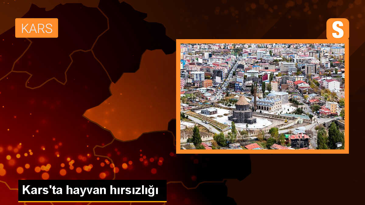 Kars\'ta Çalınan 16 Büyükbaş Hayvanın Bulunması İçin Çalışma Başlatıldı