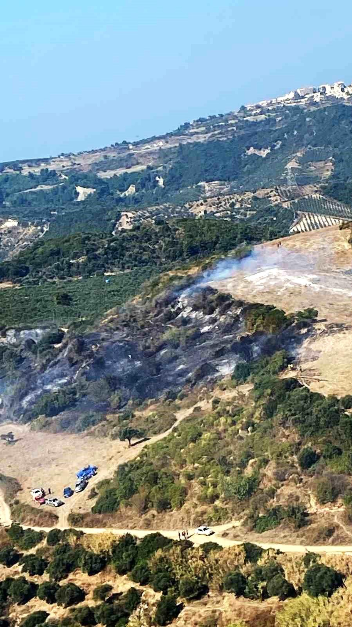 Muğla\'nın Köyceğiz ilçesinde orman yangını
