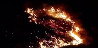 Edirne'de yangın çıktı, tren seferleri durdu