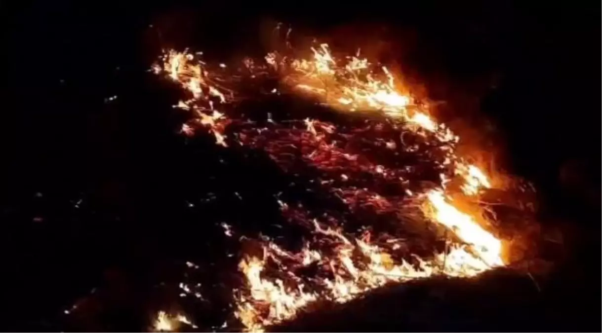 Edirne'de yangın çıktı, tren seferleri durdu