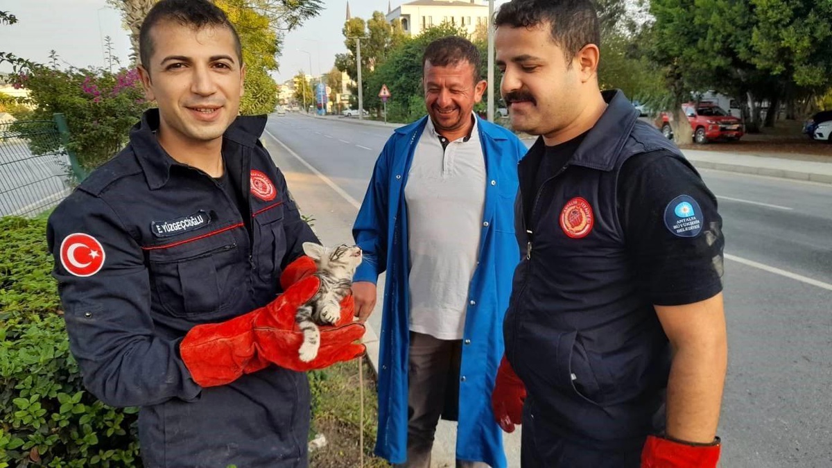 Gazipaşa\'da Otomobilin Motor Kısmına Giren Yavru Kedi İtfaiye Tarafından Kurtarıldı