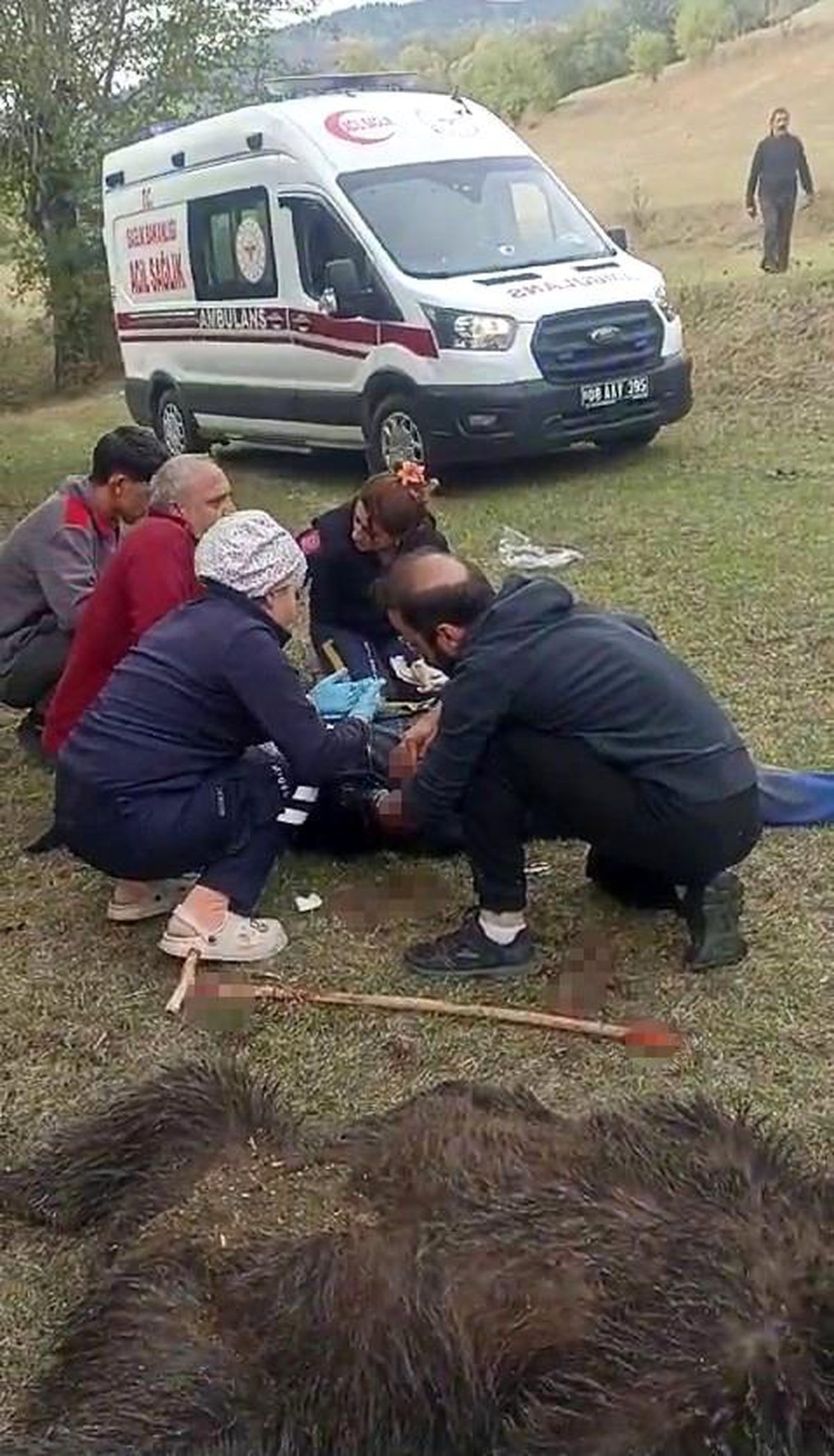 Artvin\'de Ayı Saldırısına Uğrayan Yaşlı Adam Yaralandı