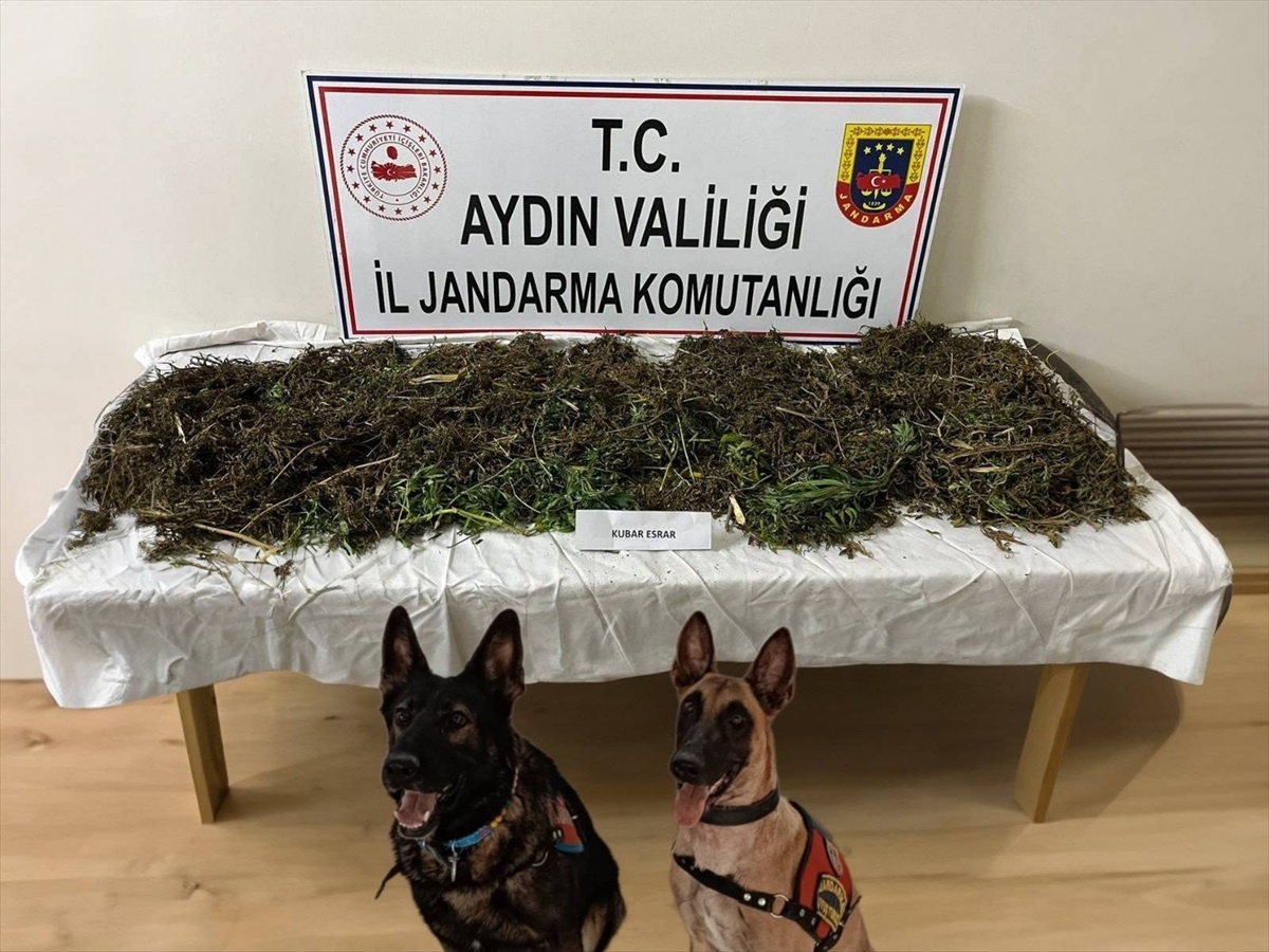 Aydın\'da uyuşturucuyla yakalanan 2 şüpheli tutuklandı