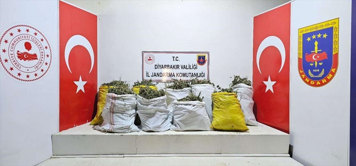 Diyarbakır\'da büyük uyuşturucu operasyonu: 445 kilogram esrar ve 277 bin kök kenevir ele geçirildi