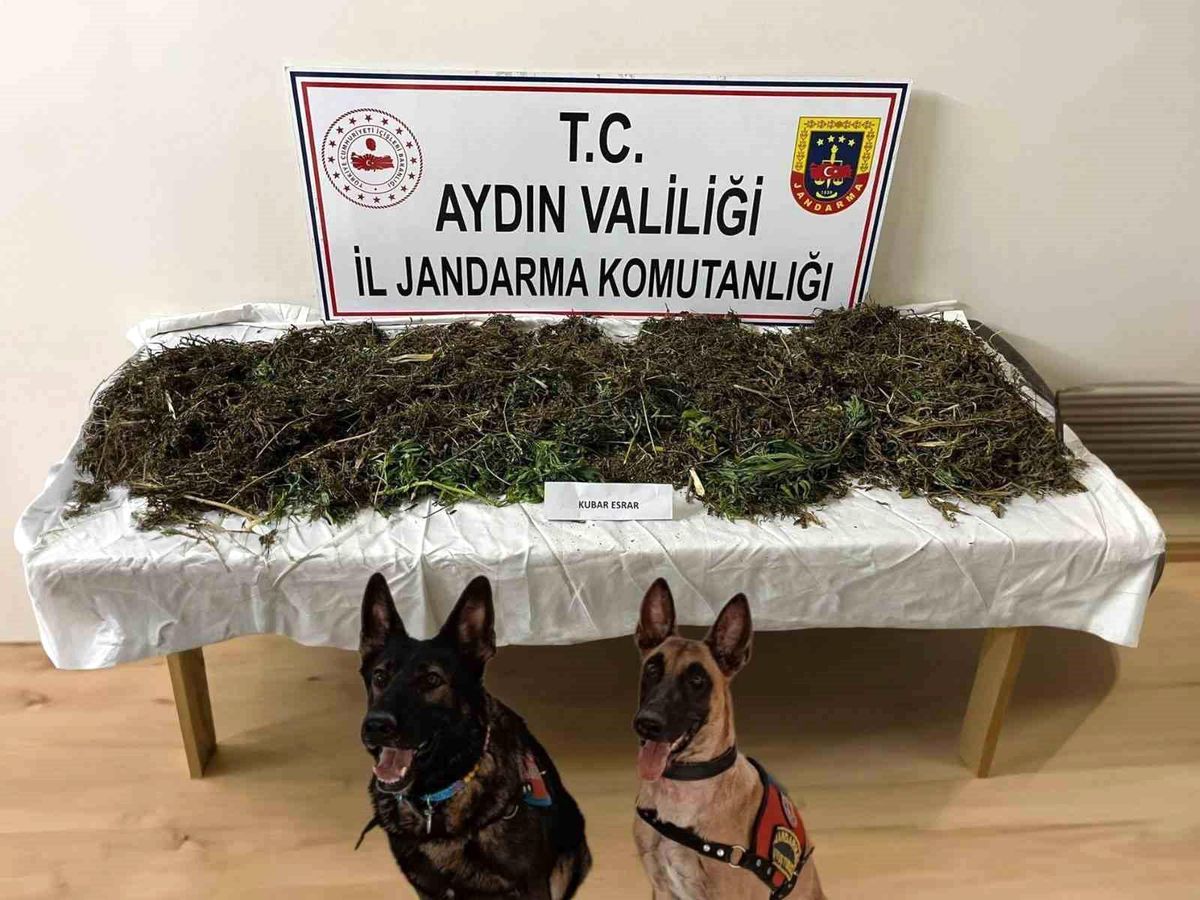 Aydın\'da Uyuşturucu Operasyonu: 2 Şüpheli Tutuklandı