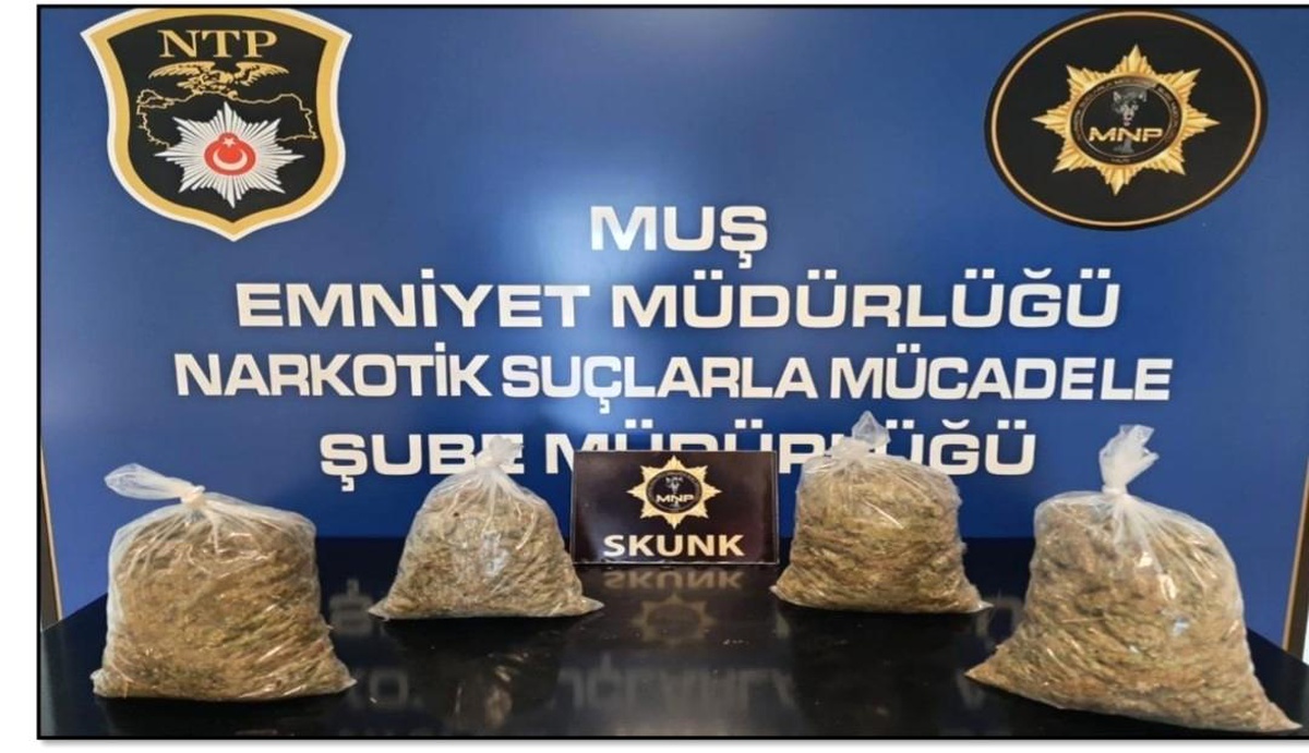 Muş\'ta Polis Kovalamacası Sonucu 3 Kilogram Skunk Ele Geçirildi