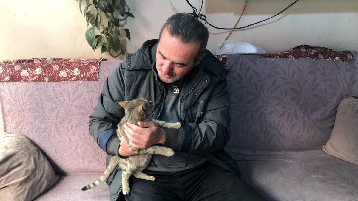 Bayburt\'ta Sokak Kedisinin Mama İsteği Taksi Durağında Tebessüm Oluşturdu