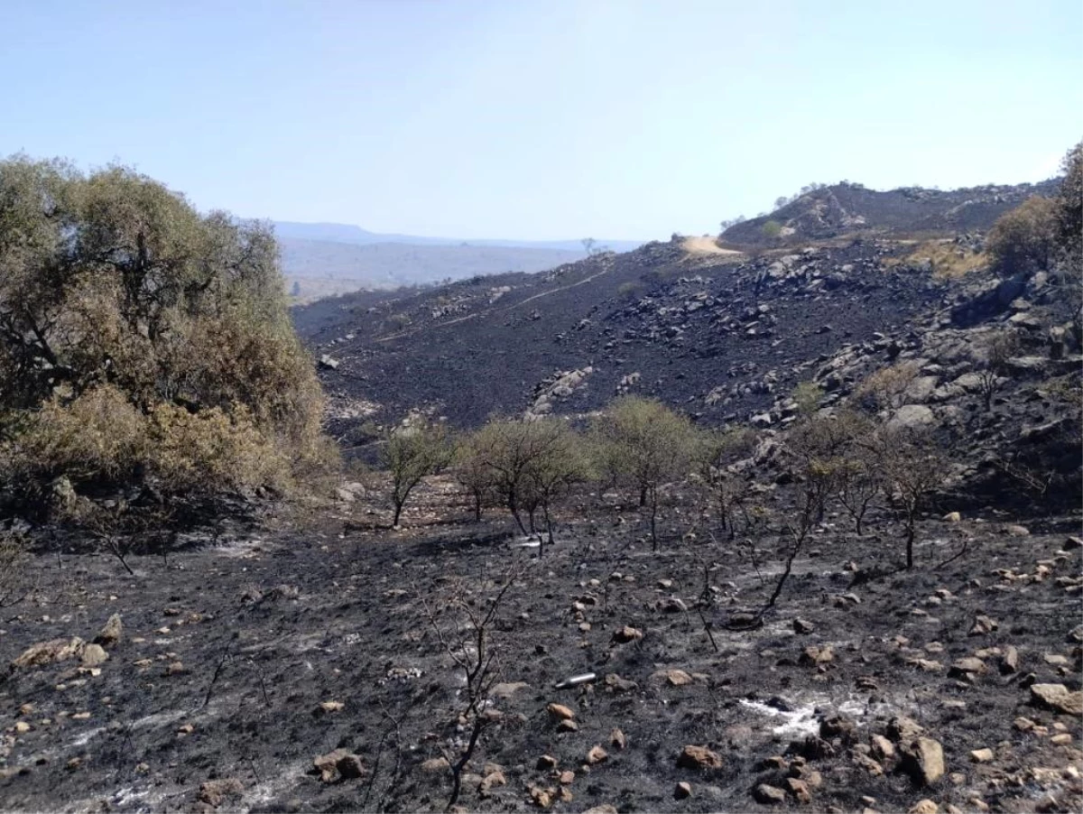 Arjantin\'de Orman Yangınları: En Az 600 Kişi Tahliye Edildi