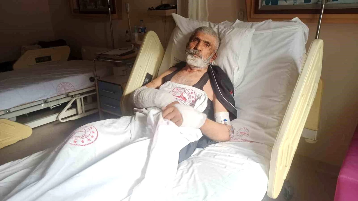 Artvin\'de Ayı Saldırısına Uğrayan Yaşlı Adam Hastanede Tedavi Görüyor