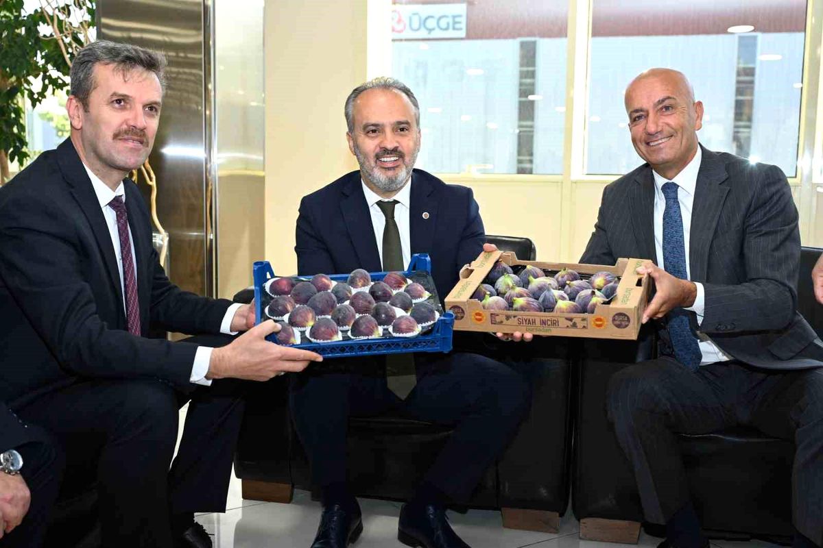 Bursa Siyah İnciri Çalıştayı ve B2B Alım Heyeti Faaliyeti Başladı