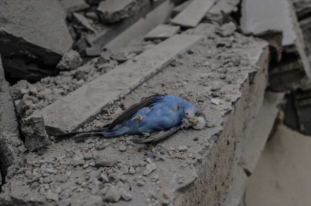 İsrail, yasaklı fosfor bombası kullandı İsrail, yasaklı fosfor bombası kullandı
