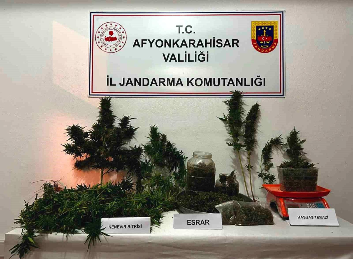 Afyonkarahisar\'da Uyuşturucu Operasyonu: 2 Kilogram Esrar ve 12 Kök Kenevir Ele Geçirildi