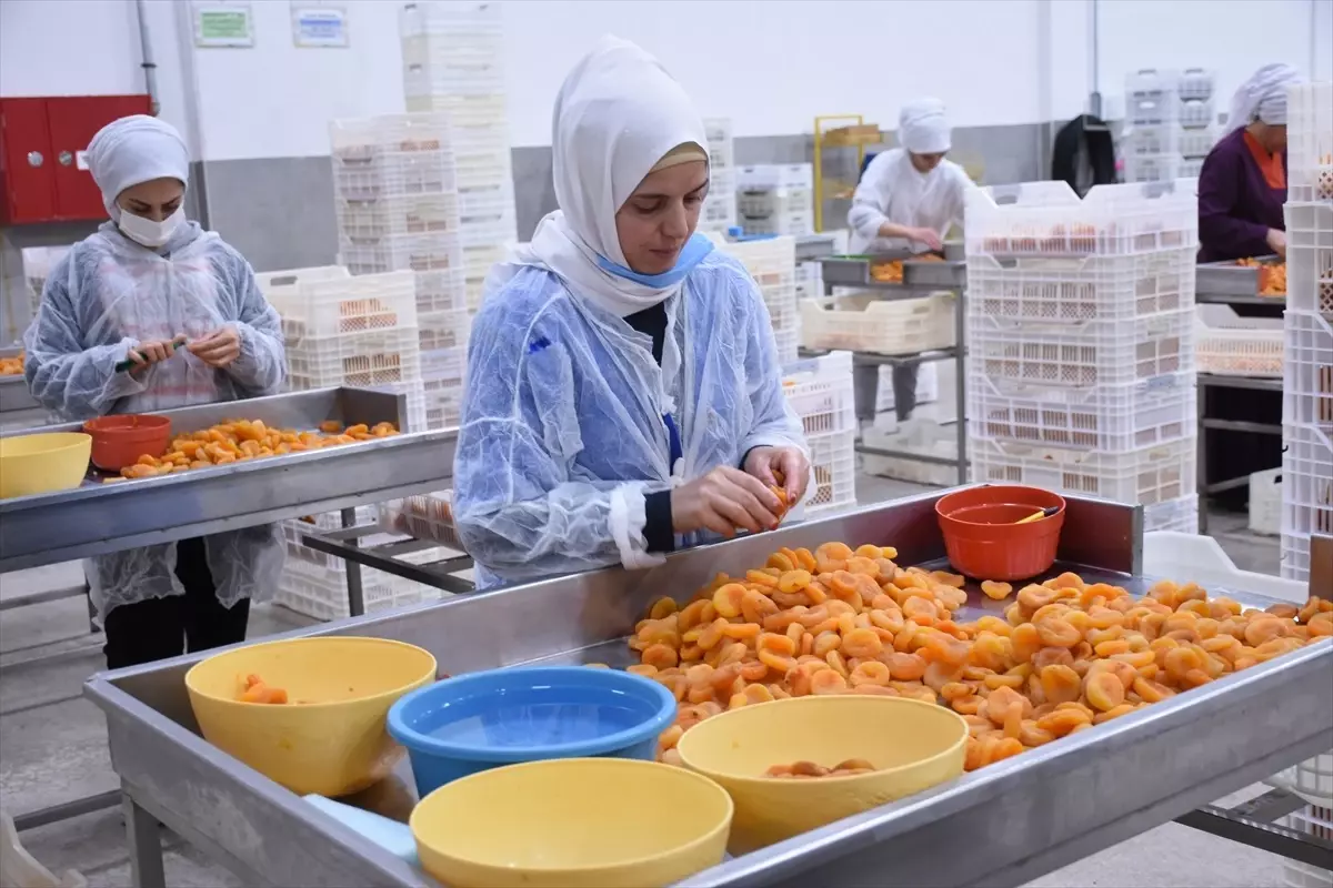 Malatya Ticaret Borsası Başkanı: Kuru kayısı hijyen koşullarına uygun şekilde tüketiciye sunuluyor