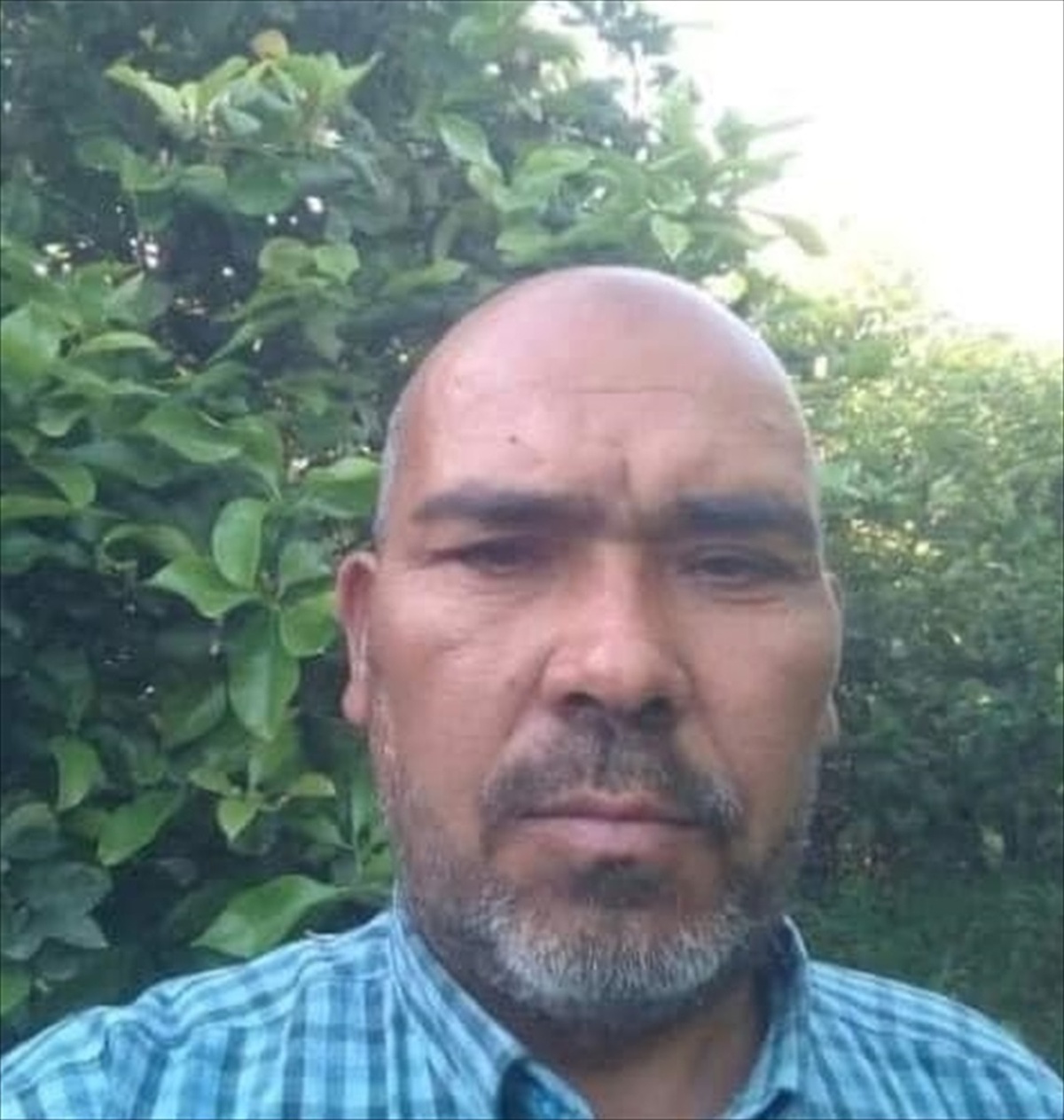 Arının soktuğu çiftçi hayatını kaybetti