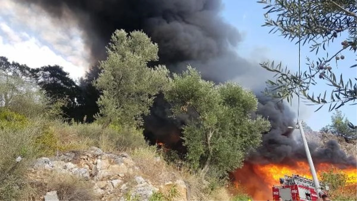 Fethiye\'deki Bungalov Yangını Ormana Sıçradı