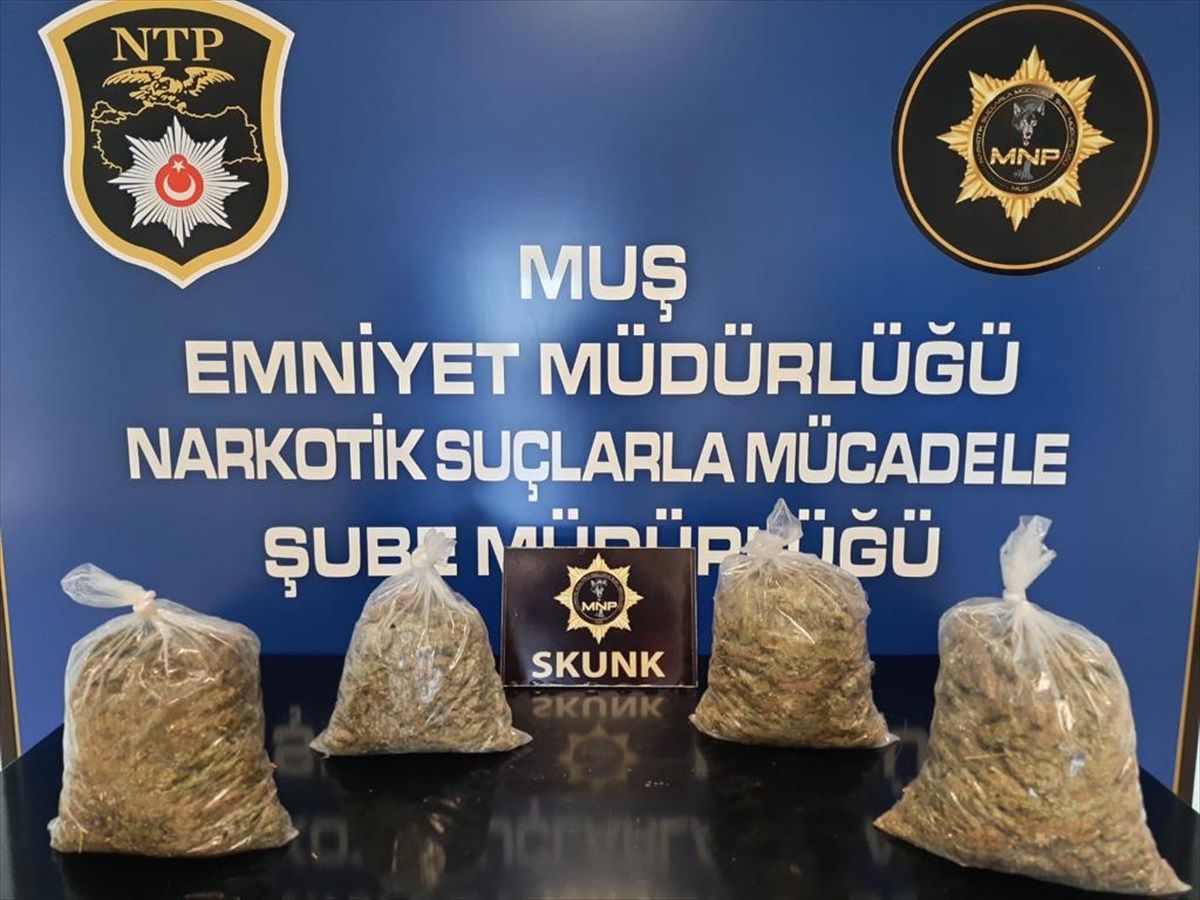 Muş\'ta 3 Kilo 910 Gram Skunk Ele Geçirildi, 3 Şüpheli Tutuklandı