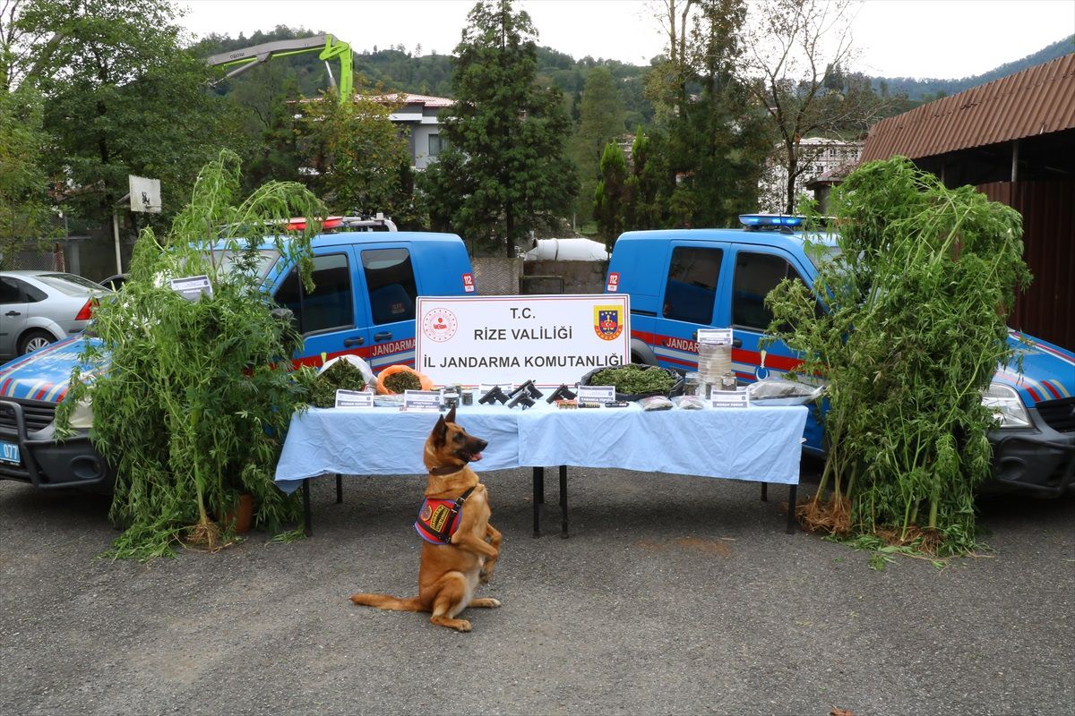 Rize\'de Uyuşturucu Operasyonu: 4 Ruhsatsız Tabanca ve 3 Kilo 643 Gram Esrar Ele Geçirildi