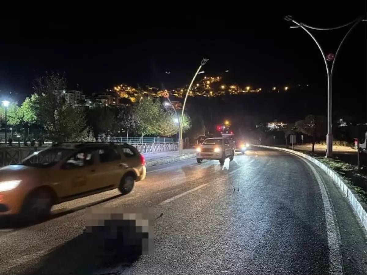 Tunceli'de Domuz Sürüsüne Çarpan Otomobillerde Maddi Hasar Oluştu