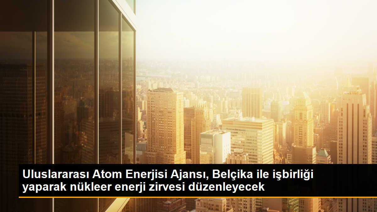 UAEA ve Belçika, Nükleer Enerji Zirvesi Düzenleyecek