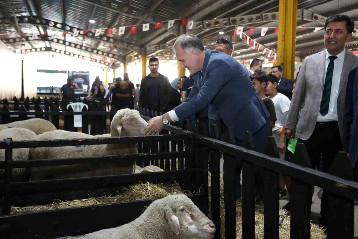 İnegöl Belediyesi\'nin 3. Uluslararası Küçükbaş Hayvancılık Festivali 40 Bin Ziyaretçiyi Ağırladı