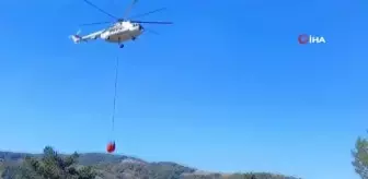 Kütahya'daki orman yangını kontrol altına alındı