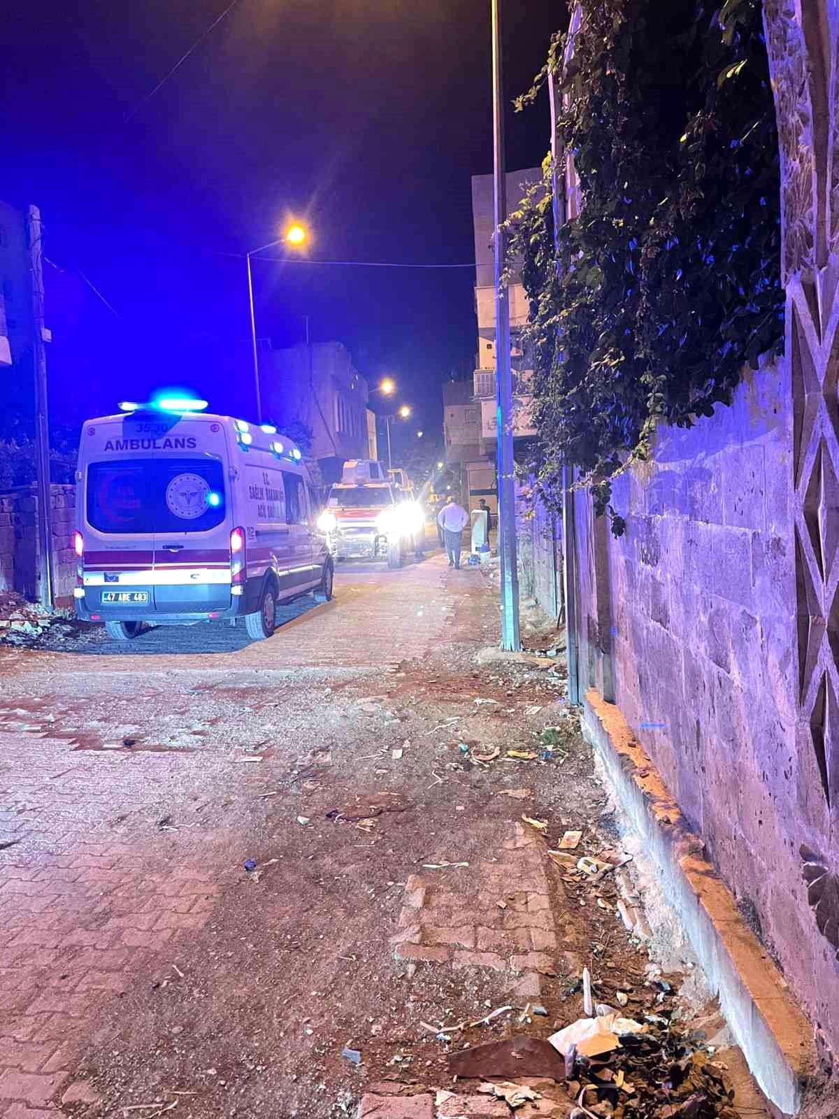 Mardin Nusaybin\'de Abi Kardeş ve Yeğen Arasında Silahlı Kavga