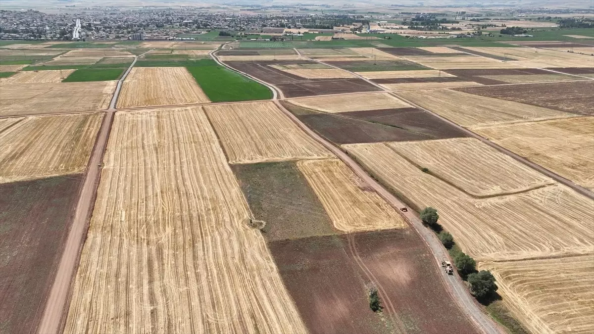 Şarkışla\'da arazi toplulaştırma oranı yüzde 41\'e ulaştı
