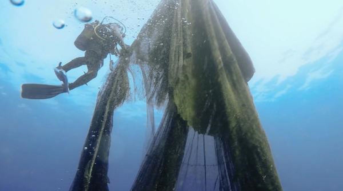 Temizlenen hayalet ağlar ile 2 milyon 750 bin balığın ölümü engellendi