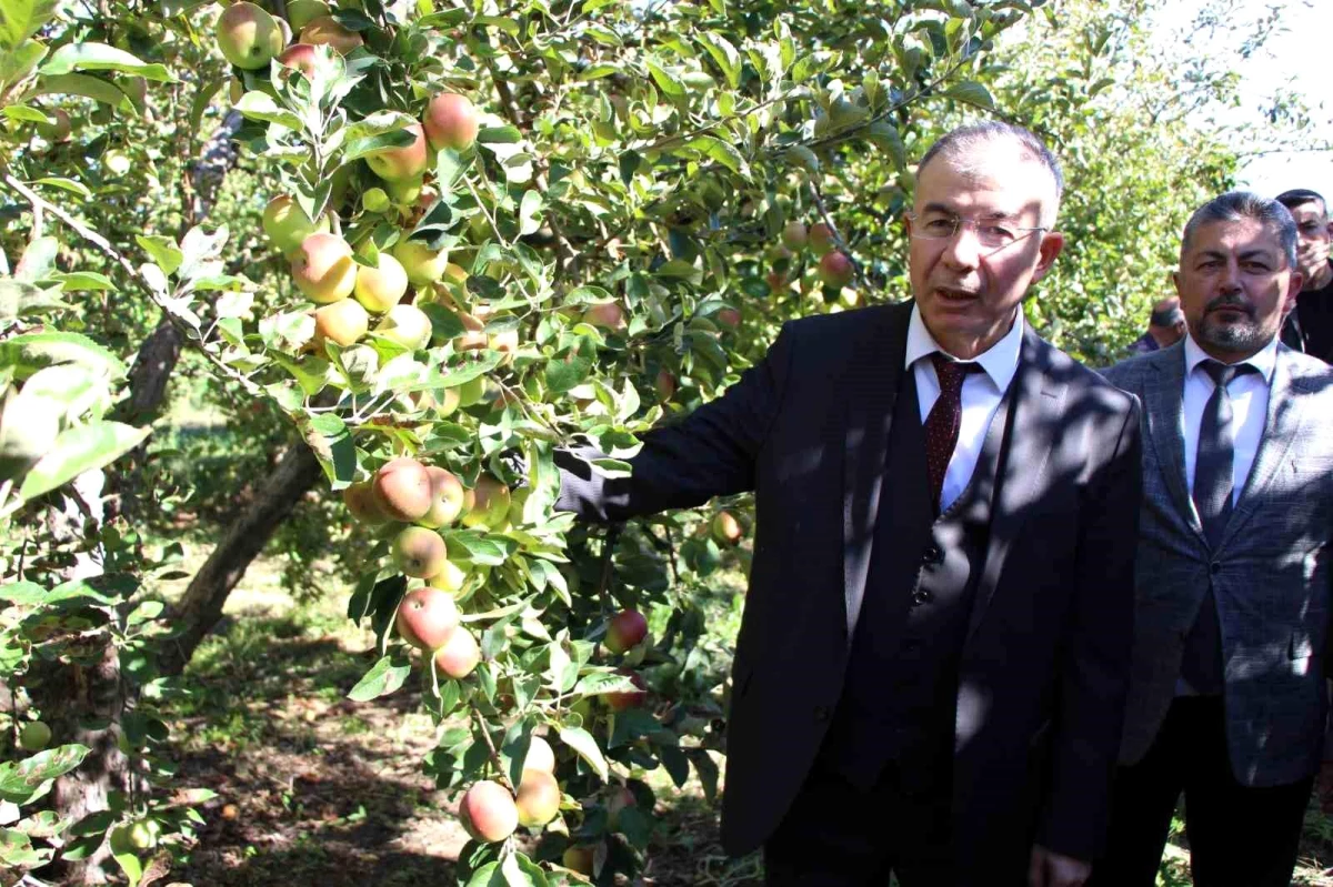 Amasya\'da Elma İçin Özel Projeler Geliştirilecek