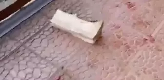 Artvin'deki Atabarı Kayak Merkezi'ne Ayılar Zarar Verdi