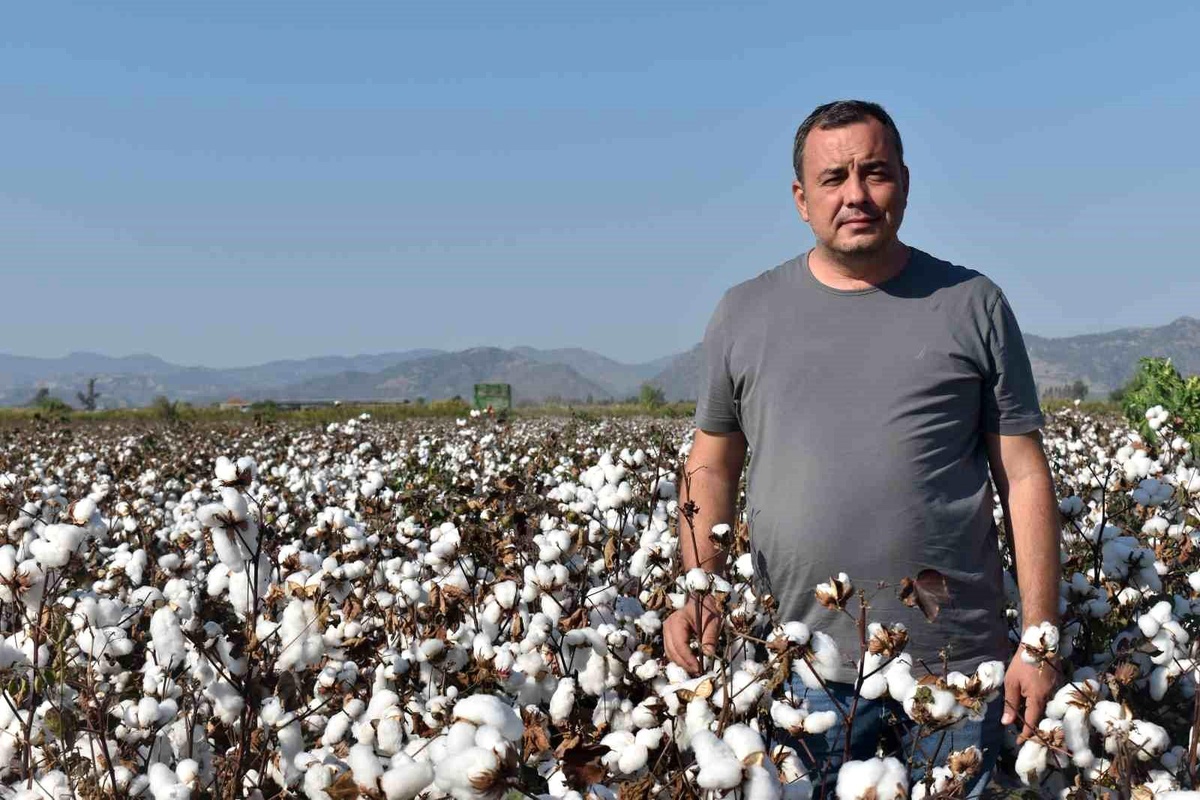 Aydın Ticaret Borsası Başkanı: Pamuk Üreticisinin Beklentisi Kalmamıştır