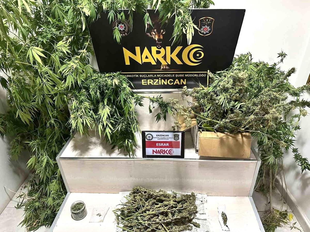 Erzincan\'da Uyuşturucu Operasyonu: 1.285,3 Gram Esrar ve 11 Kök Kenevir Ele Geçirildi