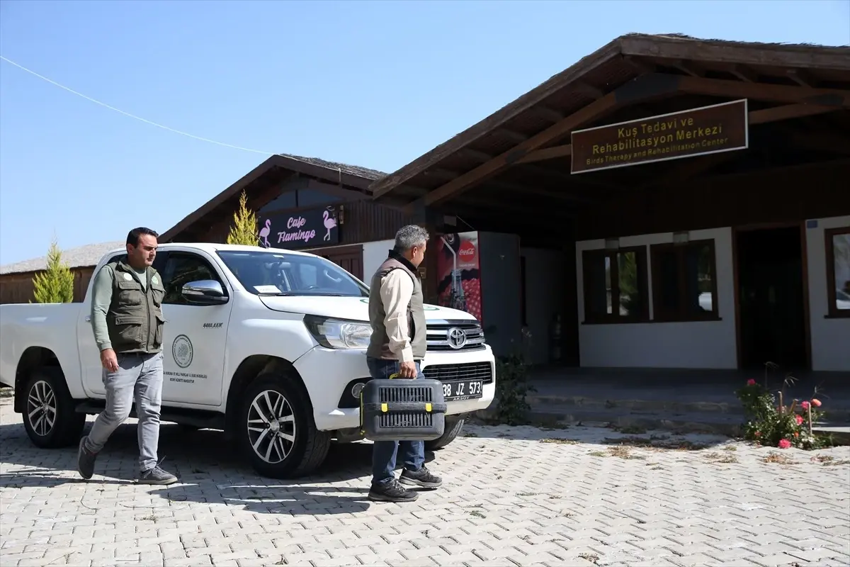 Kayseri\'deki Kuş Tedavi Merkezi, Yaralı Kuşları Tedavi Ederek Doğaya Salıyor