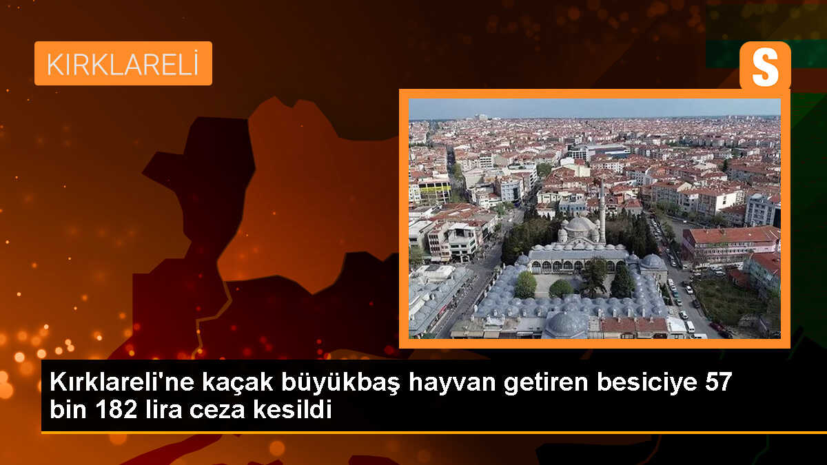 Vize\'de Kaçak Yollarla Getirilen Hayvanlara İdari Cezai İşlem