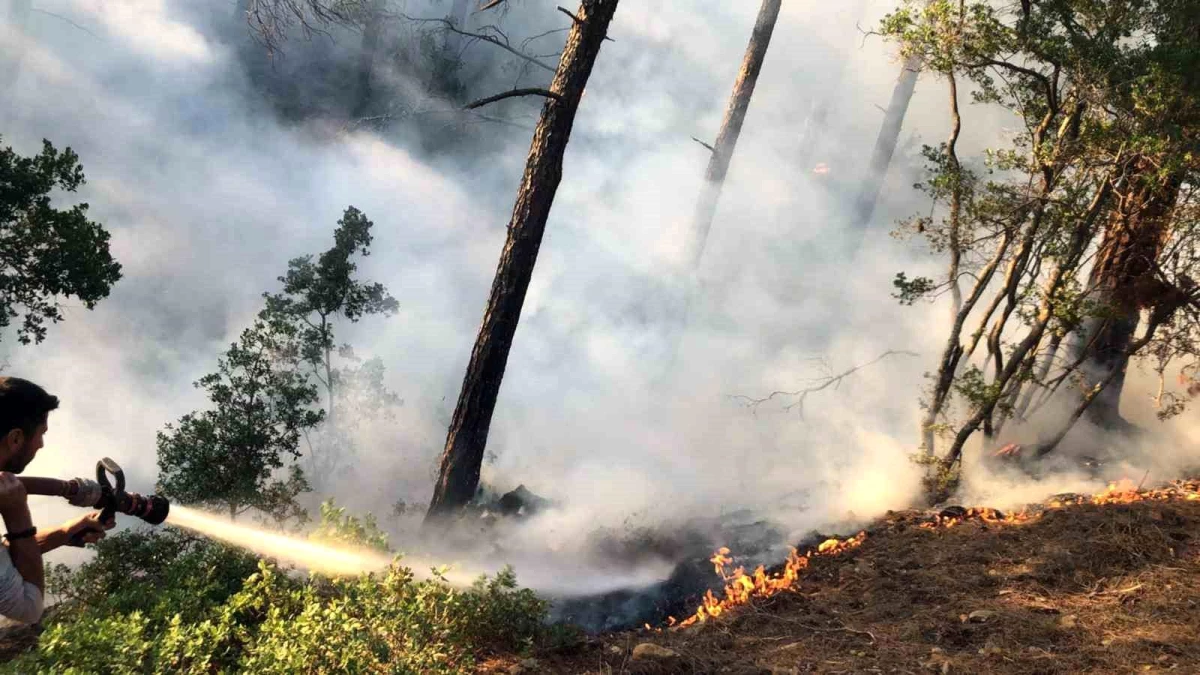 Muğla\'da Otman Mahallesinde İkinci Orman Yangını Söndürüldü