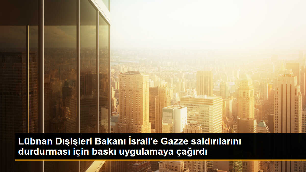 Lübnan Dışişleri Bakanı İsrail\'e Gazze saldırılarını durdurması için baskı yapılmasını istedi