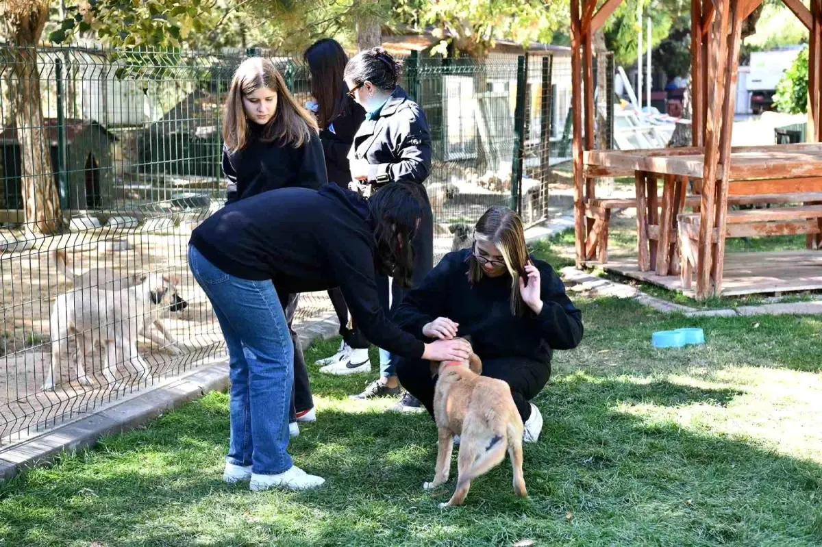 Çağfen Koleji öğrencilerinden sokak hayvanlarına ilaç bağışı