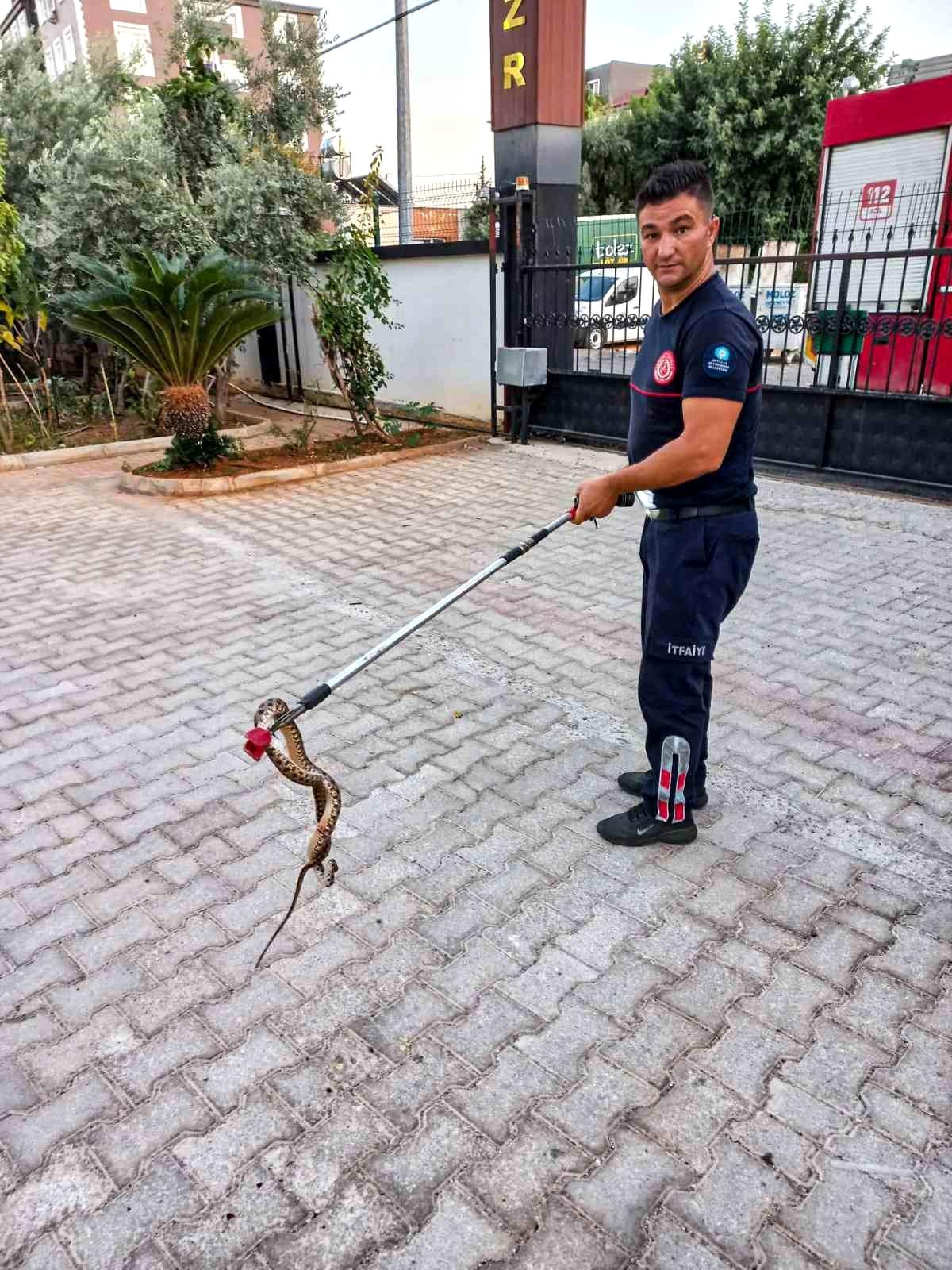 Antalya\'da Otomobilin Kaputuna Giren Yılan İtfaiye Tarafından Çıkarıldı