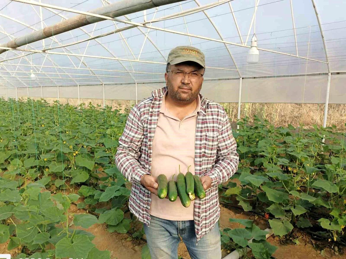 Manisa\'da girişimci çiftçi seracılıkla gelir sağlıyor