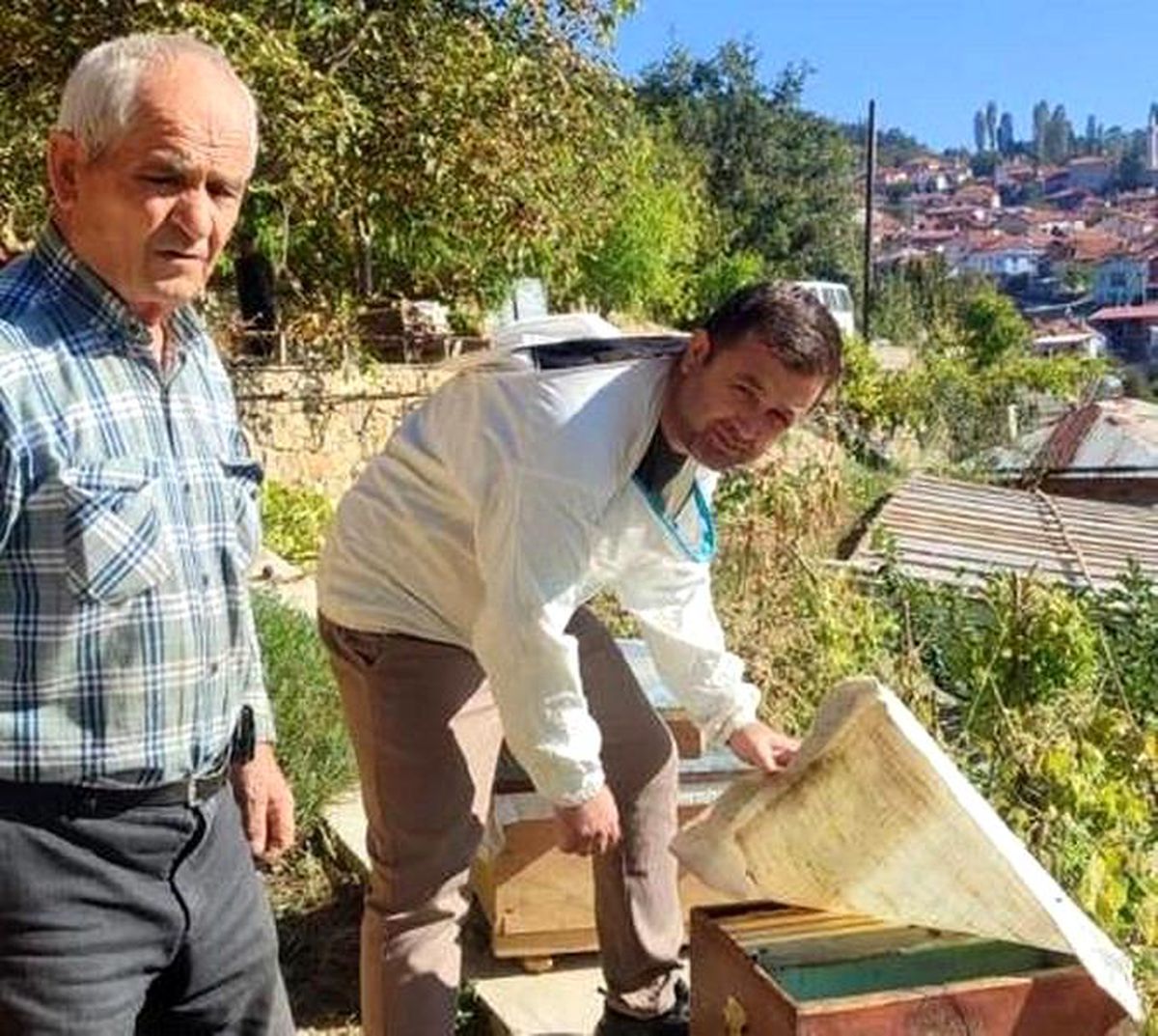 Simav\'da arı kovanı sayımı ve destekleme işlemleri