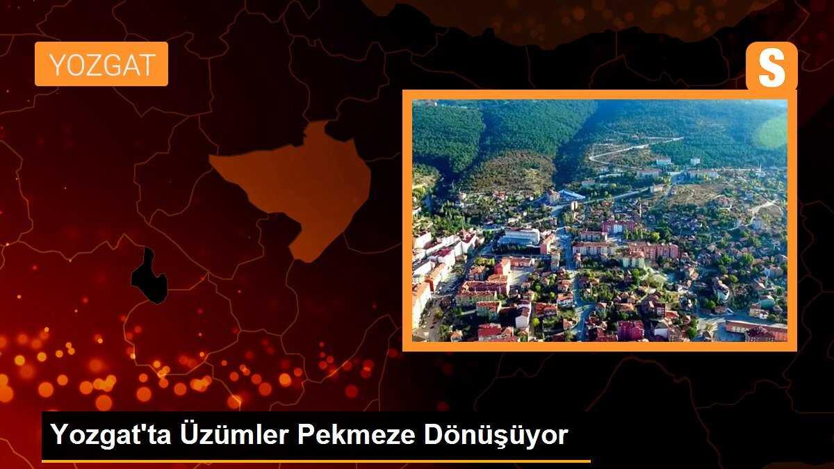 Yozgat\'ta Üzümler Pekmeze Dönüşüyor