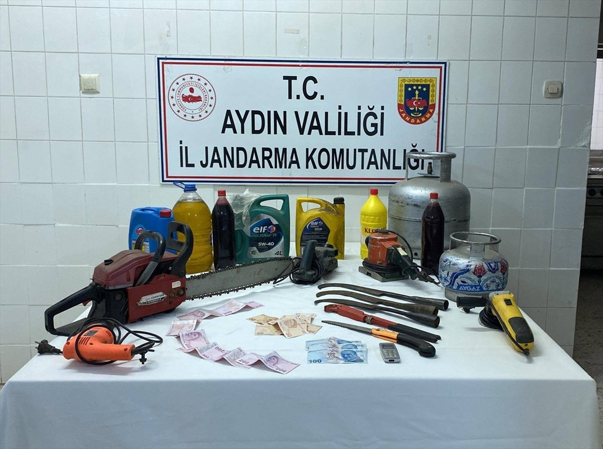 Aydın\'da yayla evinden çalıntı malzemelerle yakalanan şüpheli tutuklandı
