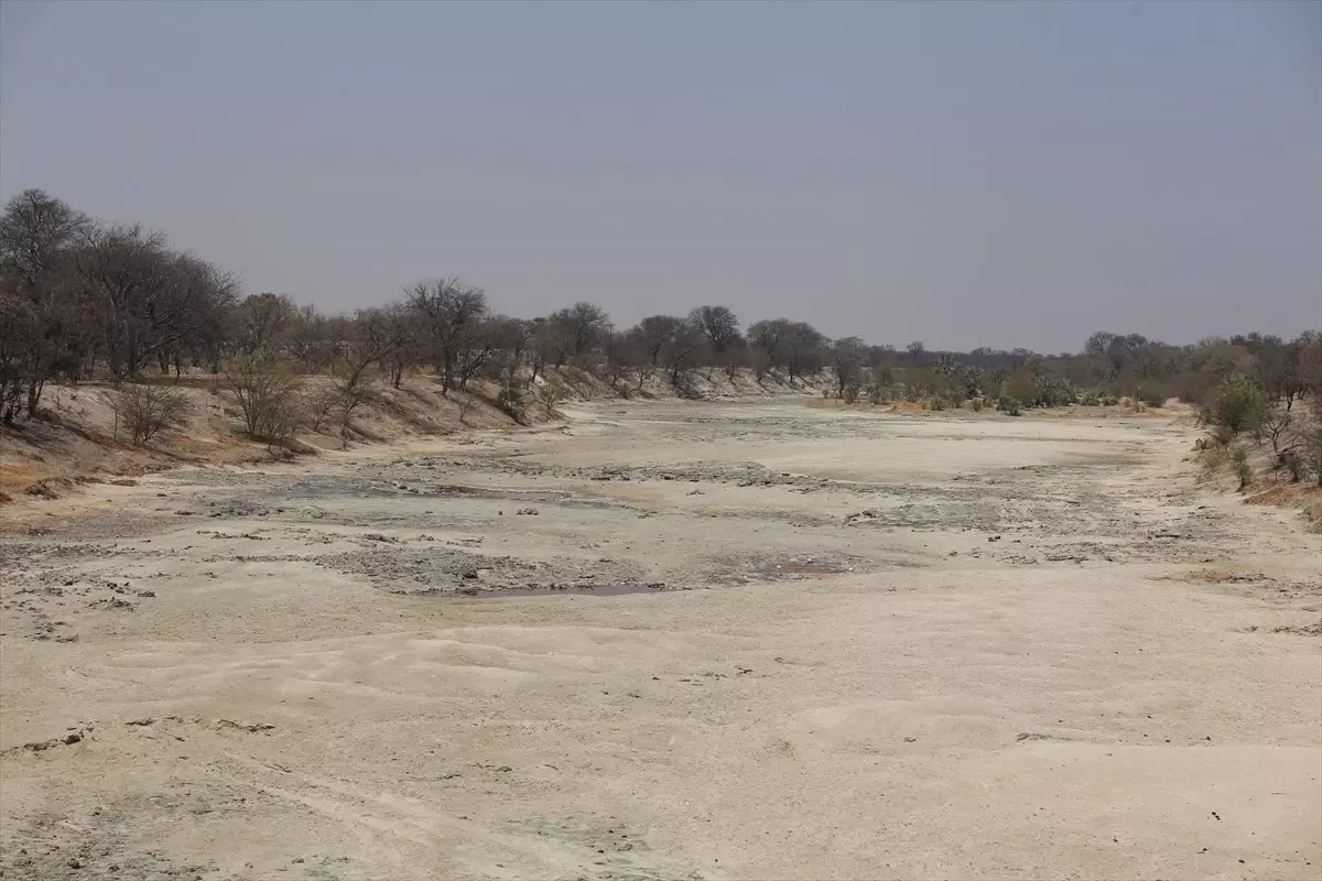 Dünyanın en büyük tuzlası Makgadikgadi, kuş türlerinin nesli için hayati önem taşıyor